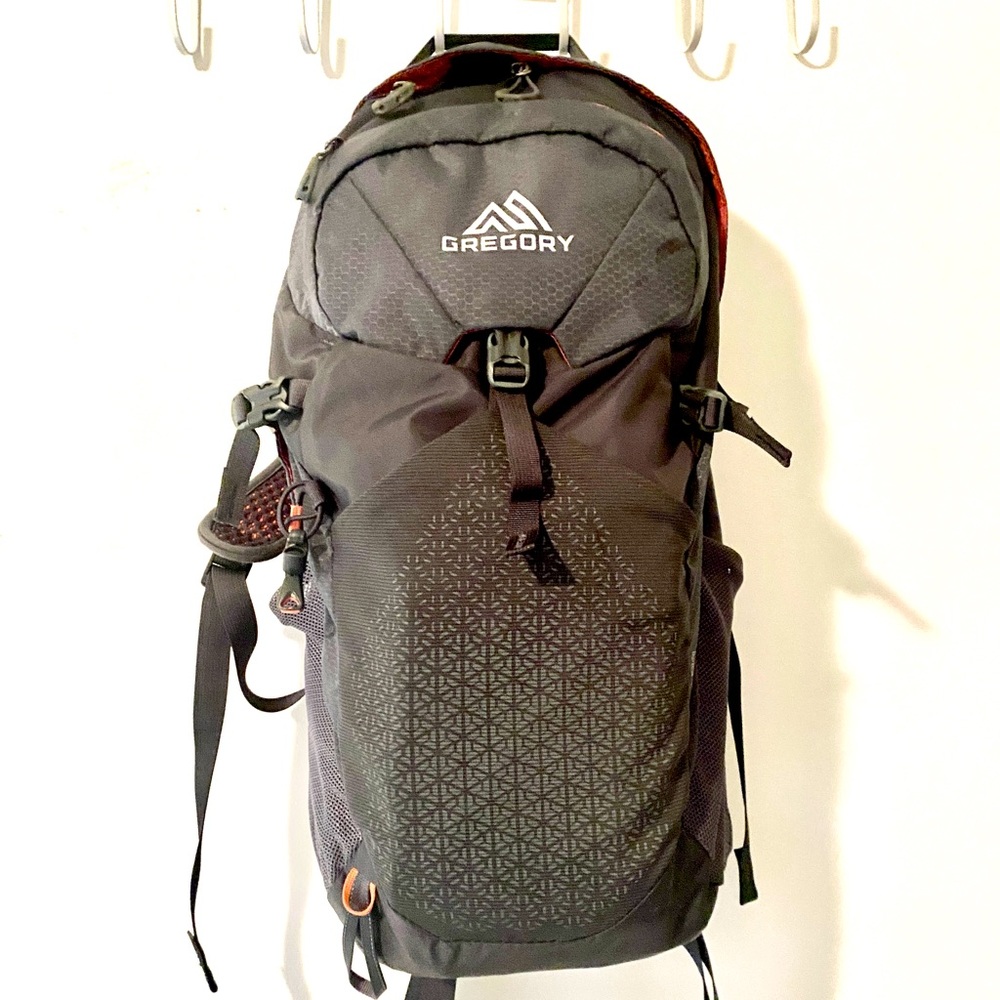 Gregory Juno 24 Daypack- Lunar Grey -out of stock online! Used once-great cond!